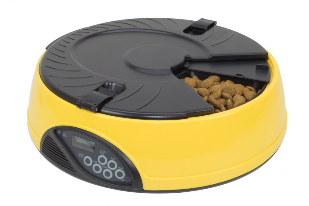 pet feeder A