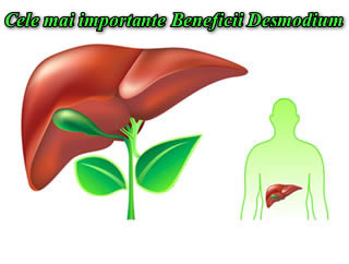 Cele mai importante Beneficii Desmodium