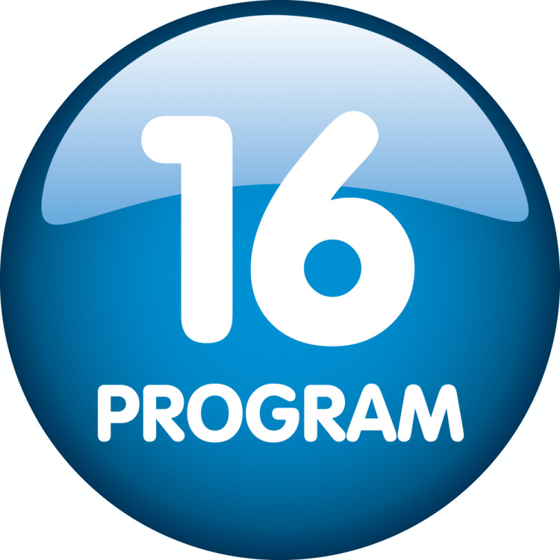 16 programe