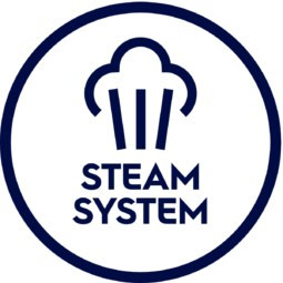 steam system