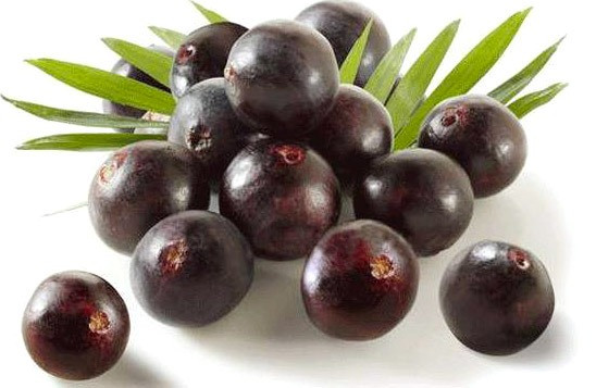 Acai Berry antioxidant 60 - 200 capsule