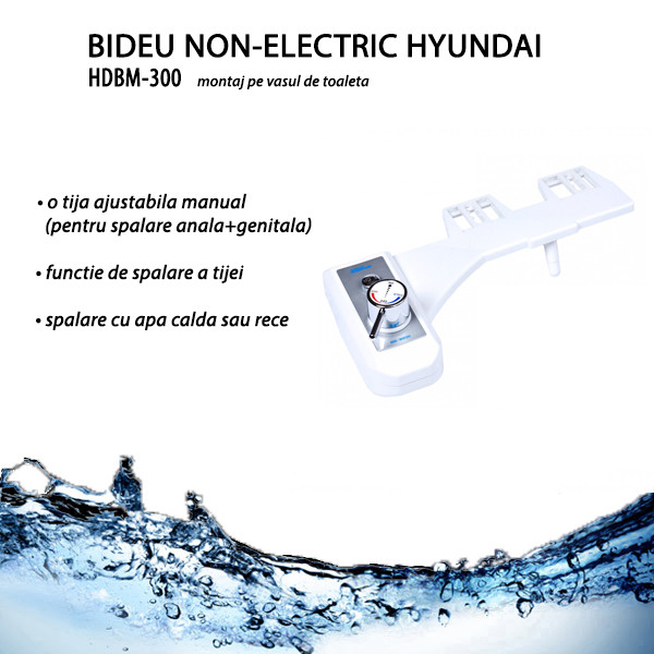 bideu non electric hyundai hdbm 300