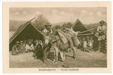 452 - Sibiu, SATRA de TIGANI cu magarus - old postcard - unused - 1916, Necirculata, Printata