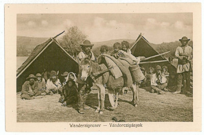 452 - Sibiu, SATRA de TIGANI cu magarus - old postcard - unused - 1916 foto