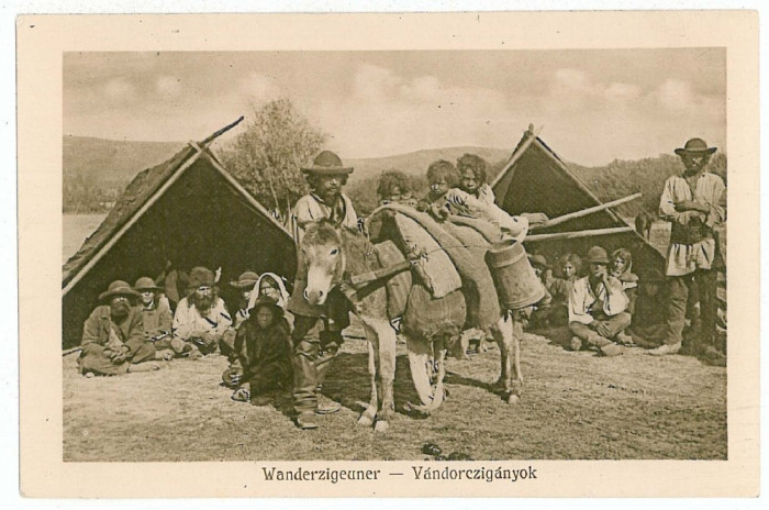 452 - Sibiu, SATRA de TIGANI cu magarus - old postcard - unused - 1916