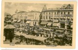 1107 - PLOIESTI, Prahova, Market - old postcard - unused, Necirculata, Printata