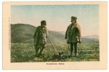 1325 - ETHNIC, Ciobani cu cainele - old postcard - unused, Necirculata, Printata