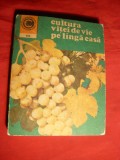 Dr.A.D.Tudosie - Cultura Vitei de Vie pe langa casa -1981