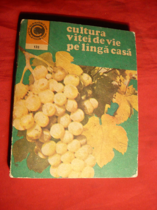 Dr.A.D.Tudosie - Cultura Vitei de Vie pe langa casa -1981