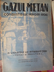 GAZUL METAN -COMBUSTIBILUL INDIGEN IDEAL foto