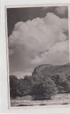 B71344 Baia Mare Gutin creasta cocosului