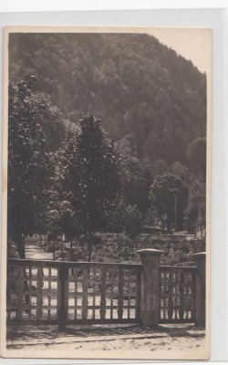 B71345 Brasov foto