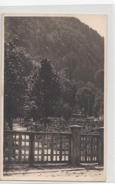 B71345 Brasov