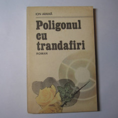 Ion Arama-Poligonul cu trandafiri,p6