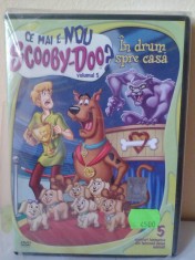 SCOOBY-DOO! IN DRUM SPRE CASA (DVD) desene animate foto