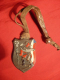 Medalie Ski - Cehoslovacia interbelica