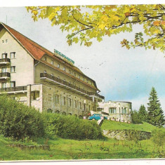 carte postala(ilustrata)-PREDEAL-Hotel Rozmarin