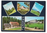 Carte postala(ilustrata)-PREDEAL-Colaj, Circulata, Printata