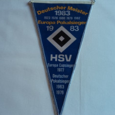 Fanion fotbal HAMBURG SV