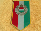 Fanion Federatia Maghiara de Fotbal