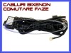 SET CABLURI CABLAJ BIXENON COMUTARE FAZE SCURTA LUNGA - H4, BOORIN