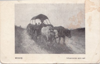 B71631 Mogos Intoarcerea spre sat foto