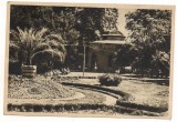 carte postala(ilustrata)-BUZIAS-Parcul de odihna