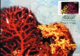 Carte maxima coral Corallium rubrum