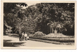 Carte postala(ilustrata)-BUZIAS-Parcul de odihna, Circulata, Fotografie