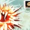 Carte maxima anemone Actinia equina