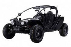 Buggy Pgo , Bugracer 600 i foto