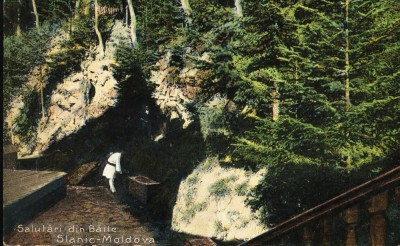 Carte postala ilustrata Slanic Moldova foto