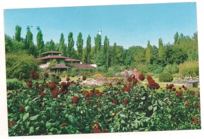 carte postala(ilustrata)-BUCURESTI-Gradina botanica foto