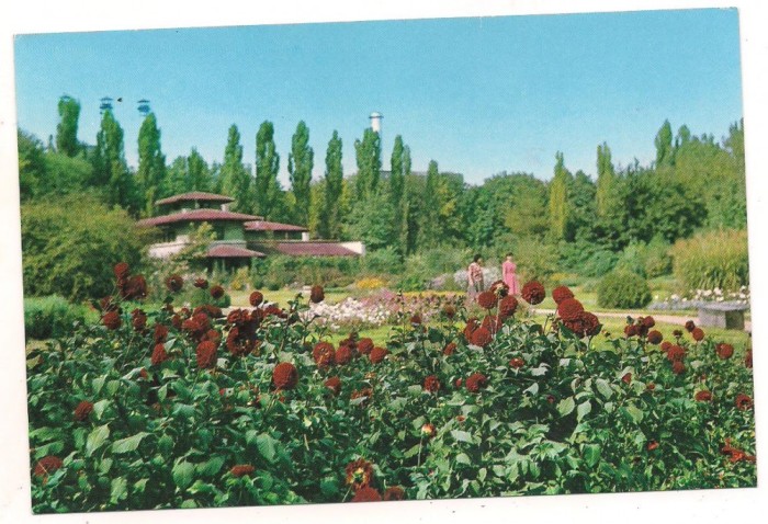 carte postala(ilustrata)-BUCURESTI-Gradina botanica