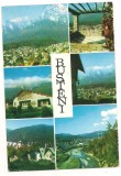 carte postala(ilustrata)-BUSTENI-Colaj