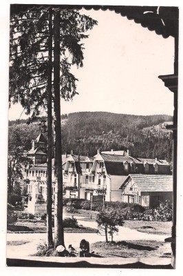 carte postala- BORSEC-Vedere din statiune foto
