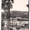 carte postala- BORSEC-Vedere din statiune