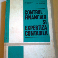 CONTROL FINANCIAR SI EXPERTIZA CONTABILA ~ M.BOULESCU & M.EPURAN