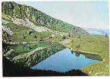 carte postala(ilustrata)-HUNEDOARA-Muntii Retezat Lacul Gemenea