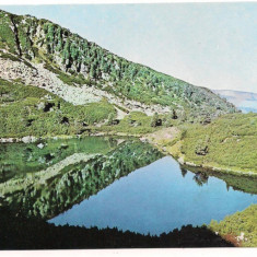 carte postala(ilustrata)-HUNEDOARA-Muntii Retezat Lacul Gemenea