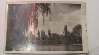 PVM - Ilustrata Cluj &amp;quot;Lacul din Parc&amp;quot;, necirculata foto