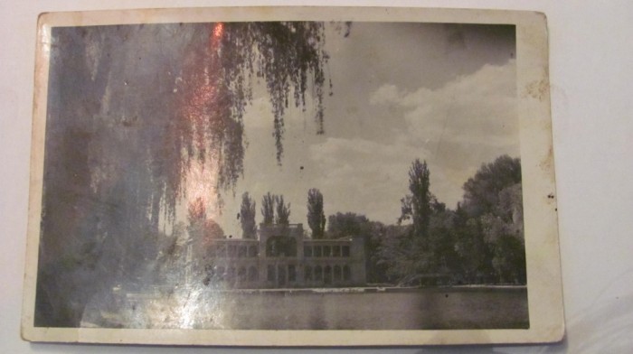 PVM - Ilustrata Cluj &quot;Lacul din Parc&quot;, necirculata