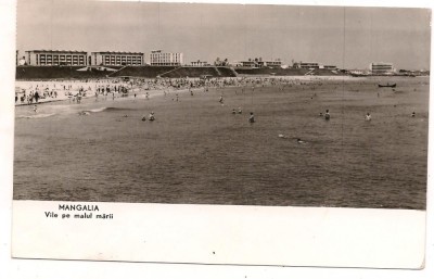 carte postala(ilustrata)-MANGALIA -vile pe malul marii foto