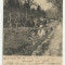 cp SINAIA : RUINELE VECHEI MORI PE PARAUL PELES - U.P.U.,circulata 1903,timbru
