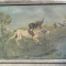Scena de vanatoare cu caini, tablou 70 x 50 cm , pictura in ulei