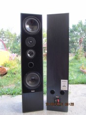 Boxe Magnat Vector 6 foto