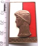 INSIGNA MILITARA COMUNISTA POLONIA - MARINAR EXEMPLAR / MODEL **