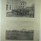 ALBUMUL ARMATEI ROMANE 1902 - REGIMENTUL 4 ARTILERIE - REGIMENTUL 8 ARTILERIE