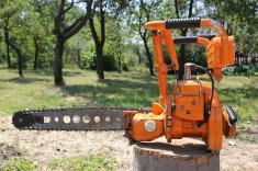 Drujba Ruseasca 1992 foto