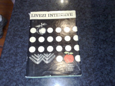 Livezi intensive - A Negrila foto